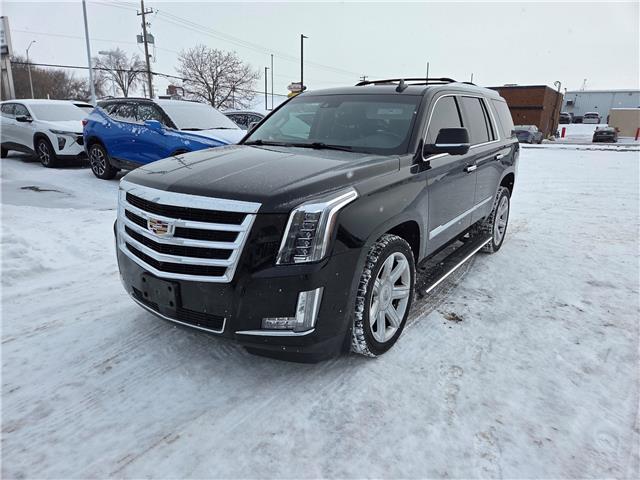2020 Cadillac Escalade Premium Luxury (Stk: 2026151A) in ARNPRIOR - Image 1 of 1