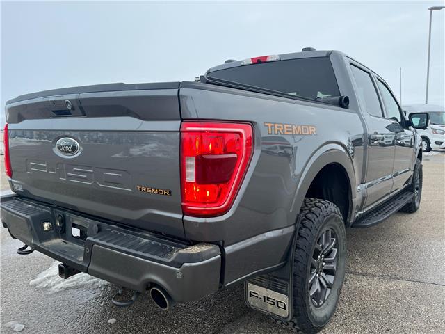 2023 Ford F-150 Tremor (Stk: U74663) in Hague - Image 8 of 13