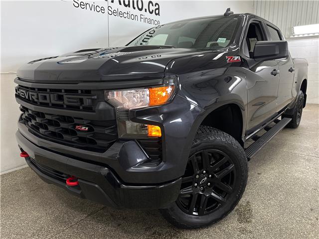 2022 Chevrolet Silverado 1500 Custom Trail Boss (Stk: 43461J) in Belleville - Image 3 of 23
