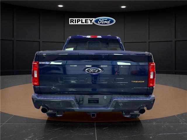 2023 Ford F-150 Tremor (Stk: 25144A) in Melfort - Image 7 of 20