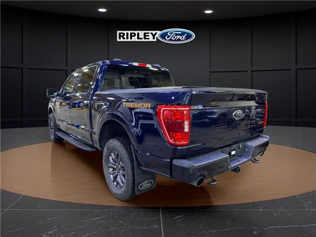 2023 Ford F-150 Tremor (Stk: 25144A) in Melfort - Image 8 of 20
