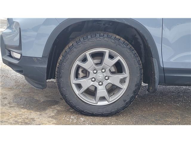 2025 Honda Passport TrailSport (Stk: TL1121) in Saint John - Image 11 of 13
