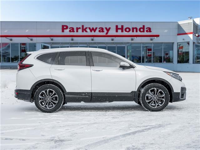 2022 Honda CR-V EX-L (Stk: 2314345A) in North York - Image 6 of 28