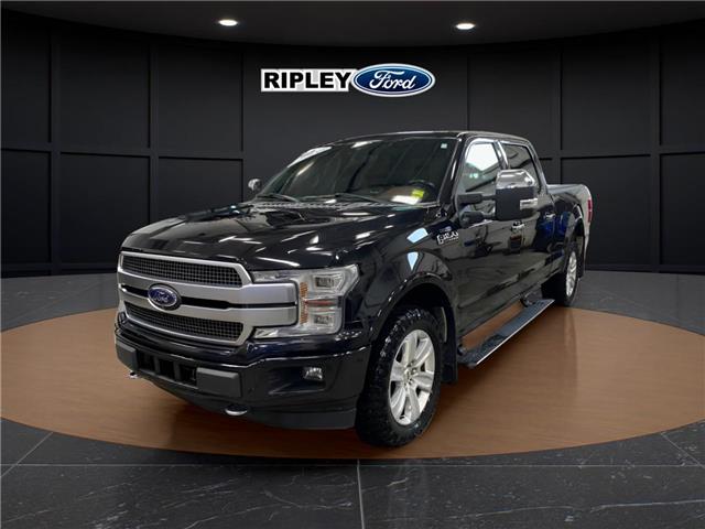 2019 Ford F-150 Platinum (Stk: 25047B) in Melfort - Image 1 of 20