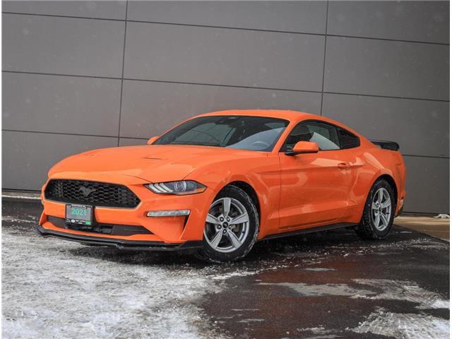 2021 Ford Mustang  (Stk: PO05608) in London - Image 1 of 27