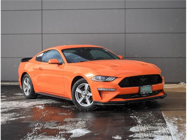 2021 Ford Mustang  (Stk: PO05608) in London - Image 2 of 27