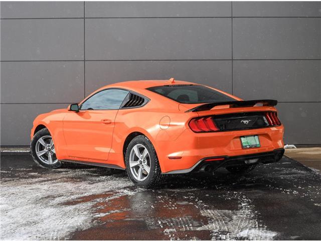 2021 Ford Mustang  (Stk: PO05608) in London - Image 4 of 27