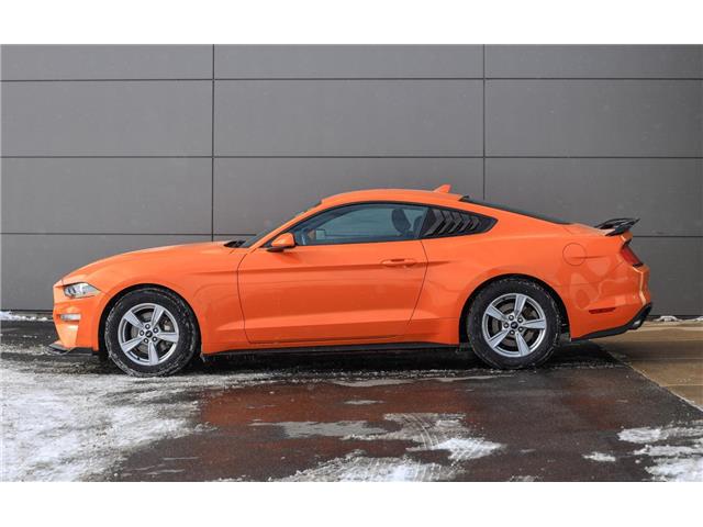 2021 Ford Mustang  (Stk: PO05608) in London - Image 5 of 27