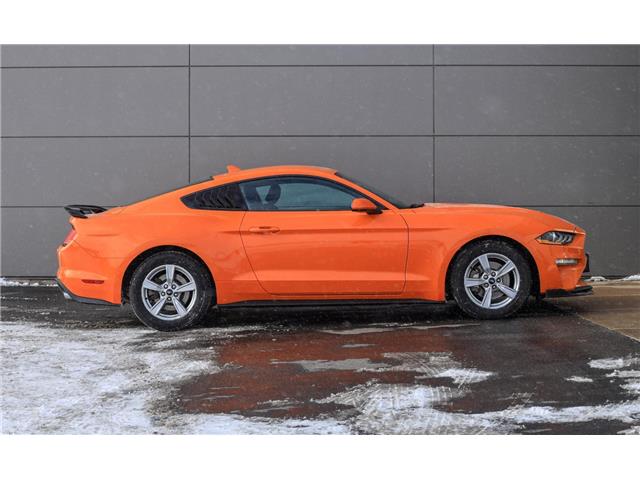 2021 Ford Mustang  (Stk: PO05608) in London - Image 6 of 27