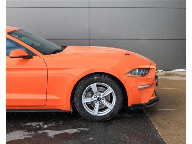2021 Ford Mustang  (Stk: PO05608) in London - Image 8 of 27