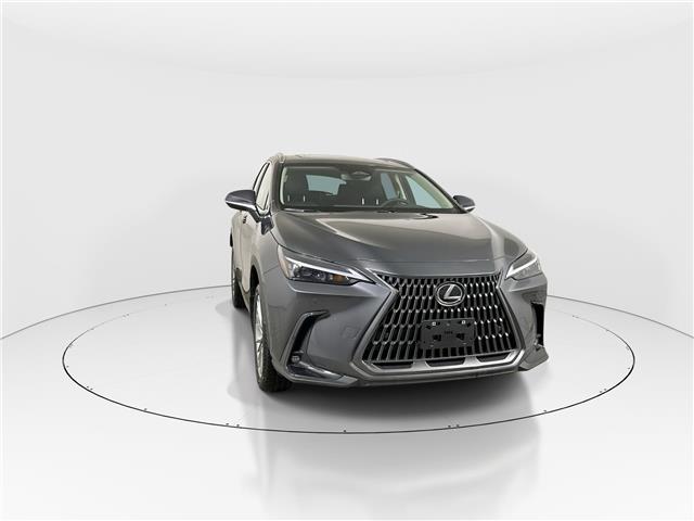 2026 Lexus NX 350h  (Stk: 15105534) in Richmond Hill - Image 2 of 20