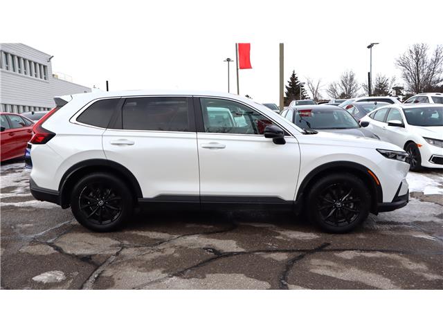 2025 Honda CR-V Hybrid EX-L (Stk: 2214416A) in Mississauga - Image 6 of 32