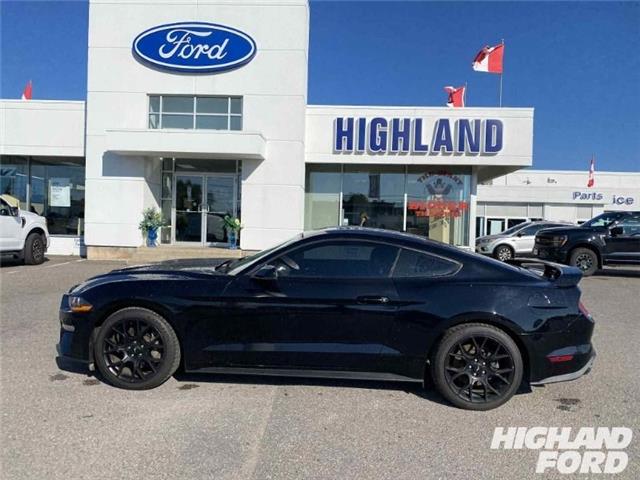 2018 Ford Mustang EcoBoost Premium (Stk: 95375X) in Sault Ste. Marie - Image 2 of 15