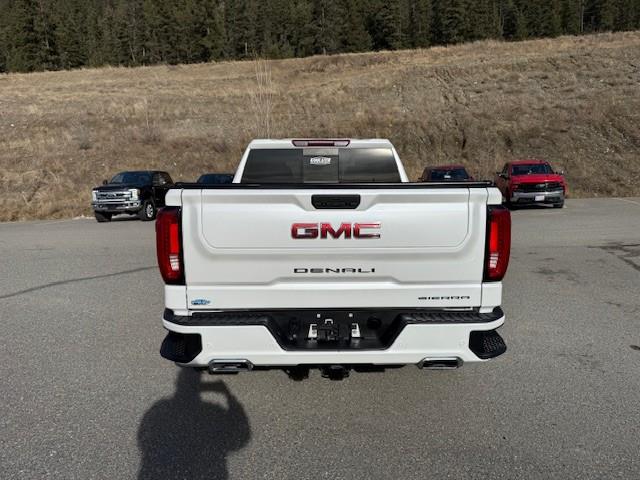 2021 GMC Sierra 1500 Denali (Stk: 5T147A) in Williams Lake - Image 4 of 13