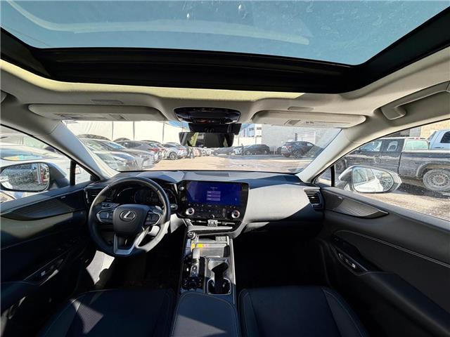 2024 Lexus NX 350 Base (Stk: 260393A) in Calgary - Image 8 of 18