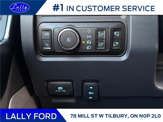 2026 Ford F-250 Platinum (Stk: LFFF01503) in Tilbury - Image 9 of 15