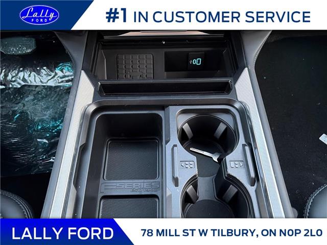 2026 Ford F-250 Platinum (Stk: LFFF01503) in Tilbury - Image 14 of 15