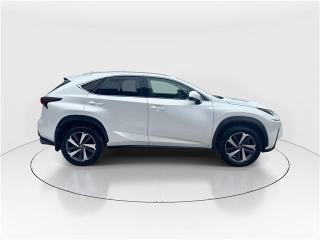 2020 Lexus NX 300 Base (Stk: 25101463AA) in Markham - Image 10 of 13