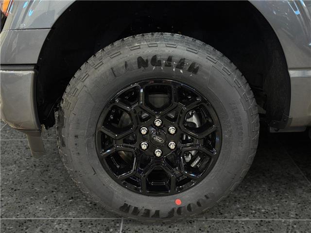 2026 Ford F-150 XLT (Stk: T9923) in ROSETOWN - Image 17 of 17