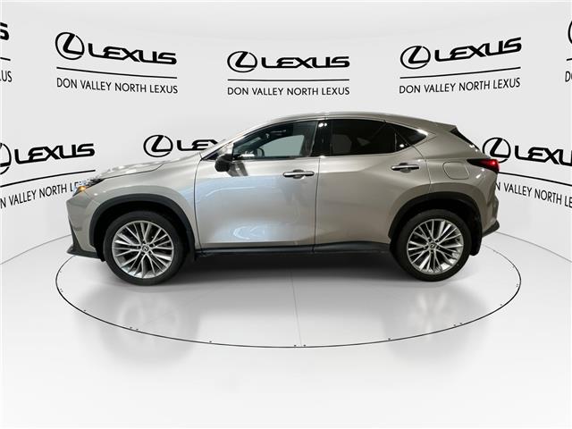 2025 Lexus NX 350  (Stk: 14112036A) in Markham - Image 6 of 29