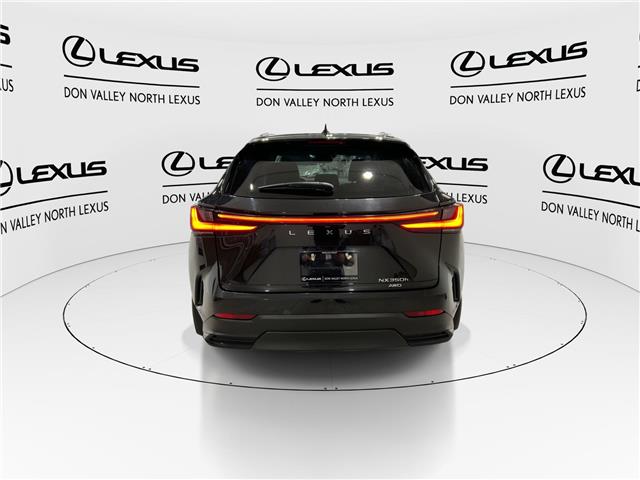 2024 Lexus NX 350h  (Stk: 14U7259) in Markham - Image 8 of 28
