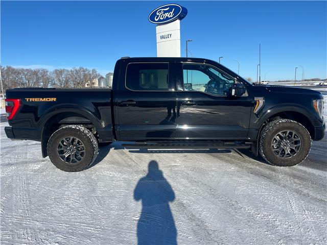 2023 Ford F-150 Tremor (Stk: U99485) in Hague - Image 1 of 13