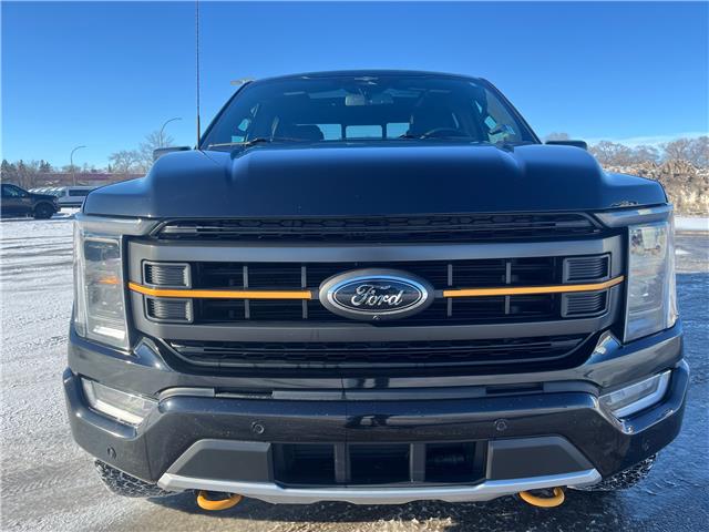2023 Ford F-150 Tremor (Stk: U99485) in Hague - Image 3 of 13
