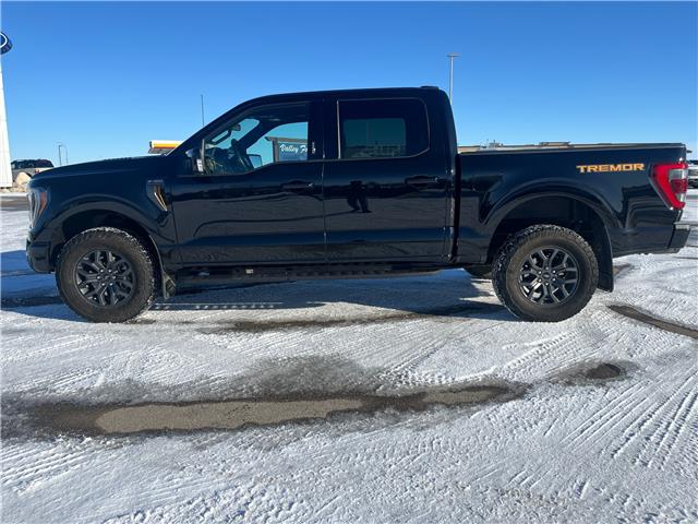 2023 Ford F-150 Tremor (Stk: U99485) in Hague - Image 5 of 13