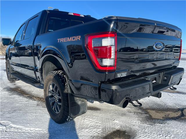 2023 Ford F-150 Tremor (Stk: U99485) in Hague - Image 6 of 13