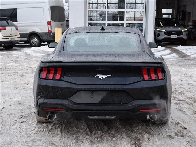 2026 Ford Mustang EcoBoost Premium (Stk: M62163) in GEORGETOWN - Image 7 of 21
