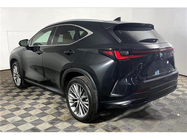 2024 Lexus NX 350 Base (Stk: X3655A) in London - Image 12 of 35