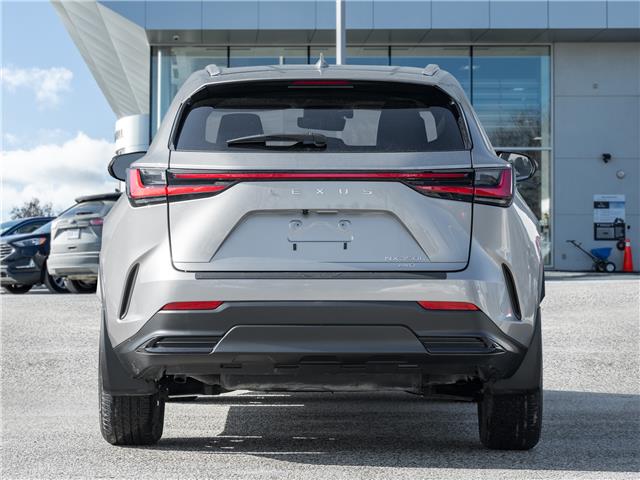 2024 Lexus NX 350h (Stk: 15105524A) in Richmond Hill - Image 7 of 25 2024 Lexus NX 350h (Stk: 15105524A) in Richmond Hill - Image 7 of 25