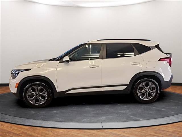 2024 Kia Seltos EX Premium (Stk: 501932) in Lower Sackville - Image 2 of 12