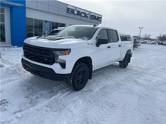 2025 Chevrolet Silverado 1500 Custom Trail Boss (Stk: 26T119B) in Wadena - Image 2 of 22