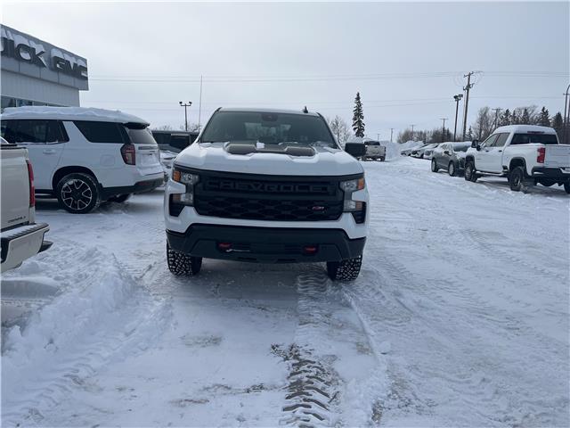 2025 Chevrolet Silverado 1500 Custom Trail Boss (Stk: 26T119B) in Wadena - Image 3 of 22