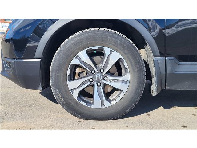 2019 Honda CR-V LX (Stk: N107405A) in Saint John - Image 11 of 13