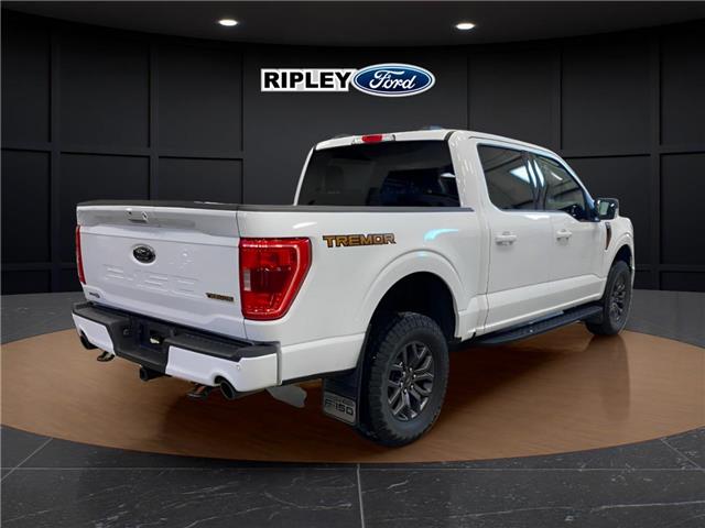 2023 Ford F-150 Tremor (Stk: 25511A) in Melfort - Image 6 of 19
