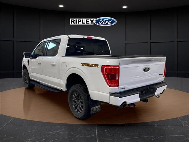 2023 Ford F-150 Tremor (Stk: 25511A) in Melfort - Image 9 of 19