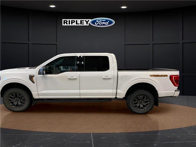 2023 Ford F-150 Tremor (Stk: 25511A) in Melfort - Image 10 of 19