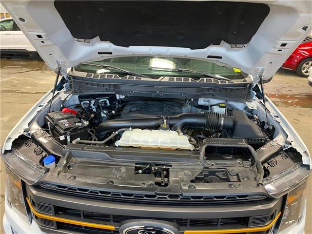 2023 Ford F-150 Tremor (Stk: 25511A) in Melfort - Image 13 of 19