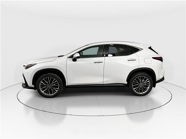 2026 Lexus NX 350h  (Stk: 14112096) in Markham - Image 4 of 8