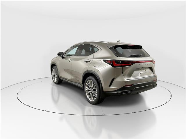 2026 Lexus NX 350h  (Stk: 15105567) in Richmond Hill - Image 5 of 8