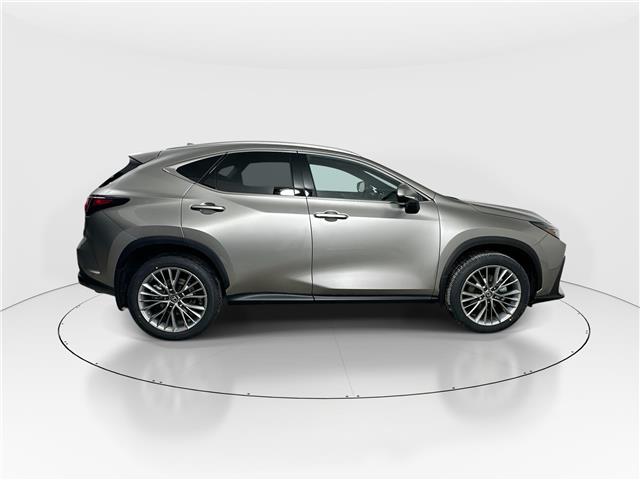 2026 Lexus NX 350h  (Stk: 15105567) in Richmond Hill - Image 8 of 8