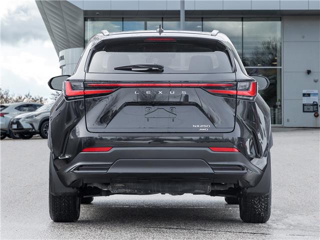2023 Lexus NX 250  (Stk: 15105456A) in Richmond Hill - Image 7 of 24