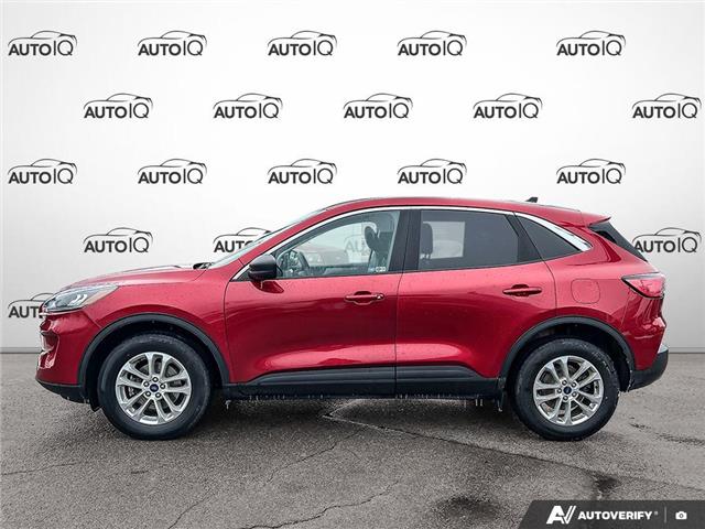 2022 Ford Escape SE (Stk: 1HL785) in Hamilton - Image 3 of 21