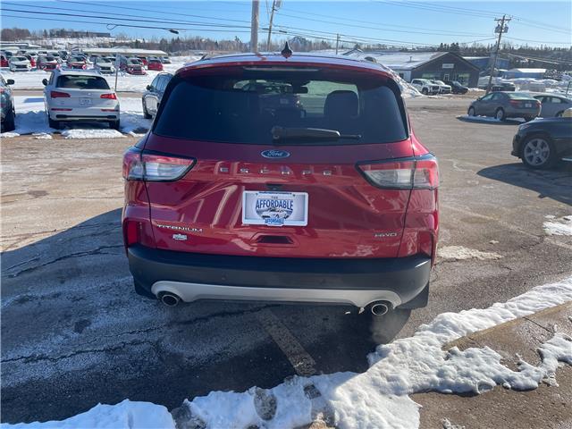 2021 Ford Escape Titanium Hybrid in Charlottetown - Image 8 of 19