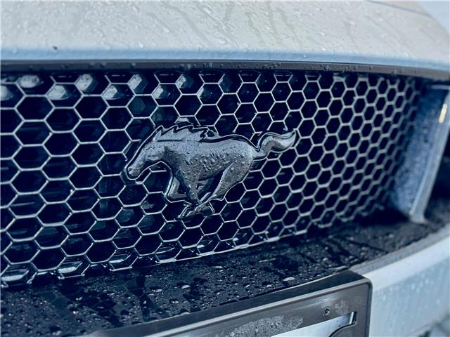 2021 Ford Mustang GT Premium (Stk: P00473) in Port Alberni - Image 9 of 25 2021 Ford Mustang GT Premium (Stk: P00473) in Port Alberni - Image 9 of 25