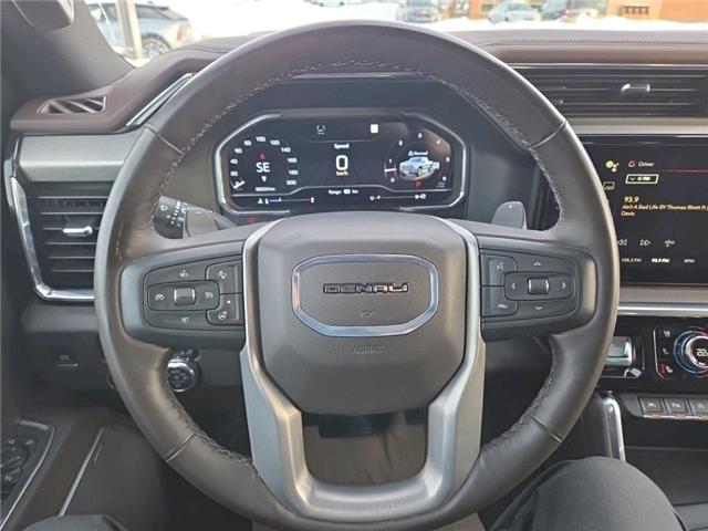2024 GMC Sierra 1500 Denali (Stk: 2026100A) in ARNPRIOR - Image 15 of 20