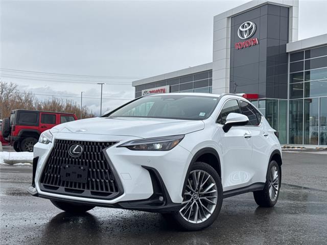 2026 Lexus NX 350  (Stk: C101043K) in Cranbrook - Image 1 of 22