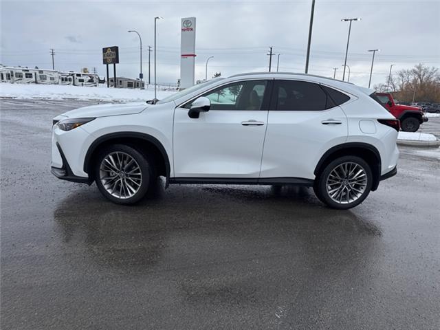 2026 Lexus NX 350 (Stk: C101043K) in Cranbrook - Image 2 of 22 2026 Lexus NX 350 (Stk: C101043K) in Cranbrook - Image 2 of 22